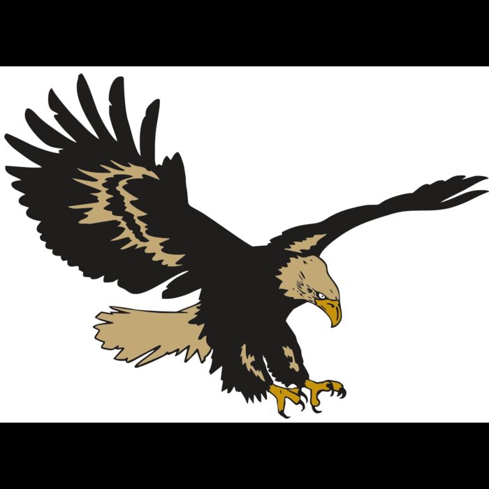 AR EAGLE 47 RC Thumbnail