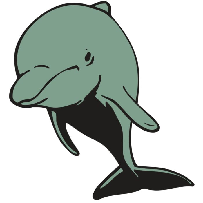 AR DOLPIN 11 RC Thumbnail