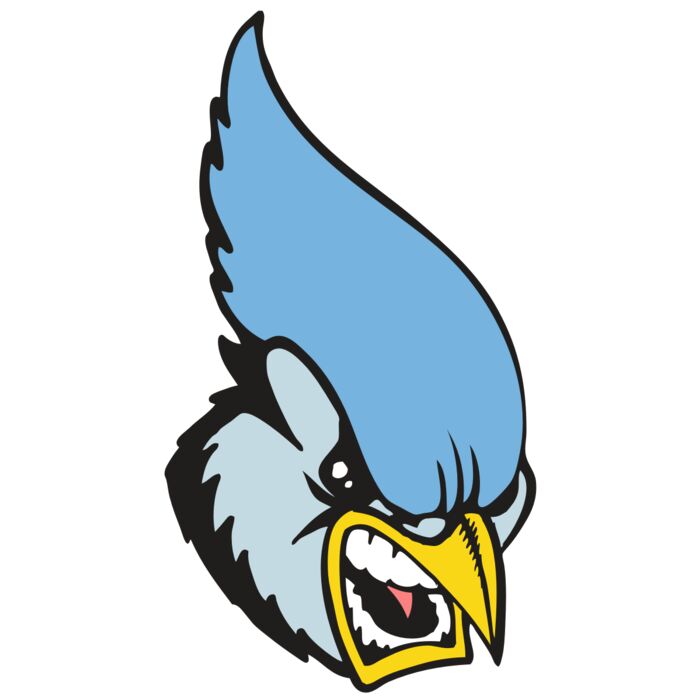 BAW BLUEJAY 05 RC Thumbnail