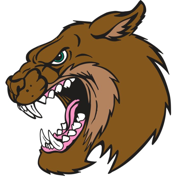 AR5 BOBCAT 18 RQC Thumbnail