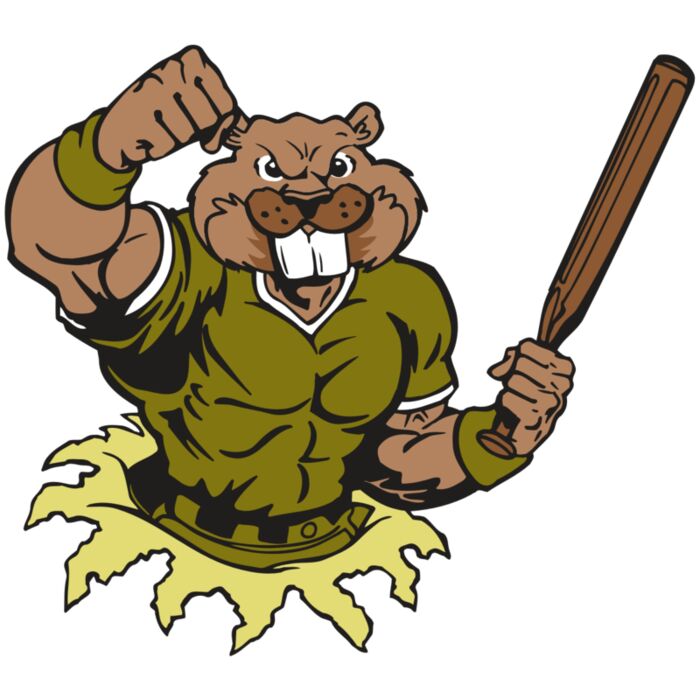 AR4 BEAVER 02 RQC Thumbnail