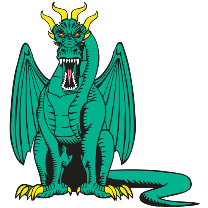 BAW DRAGON 10 RC Thumbnail