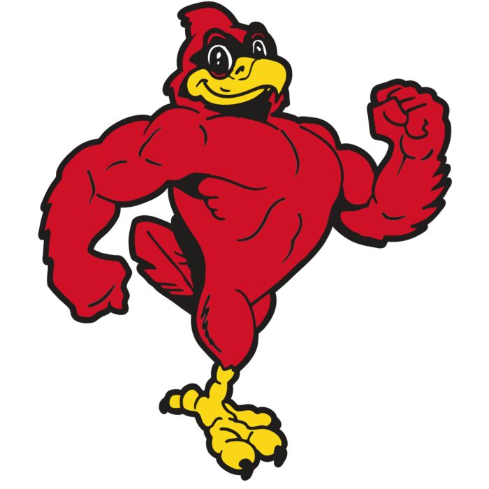 AR CARDINAL 41 RC Thumbnail