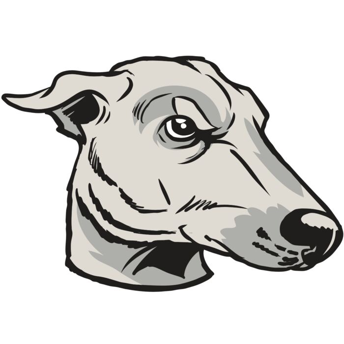 AR22 GREYHOUND 01 RQC Thumbnail