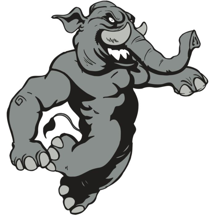 AR5 Elephant 09 RQC Thumbnail