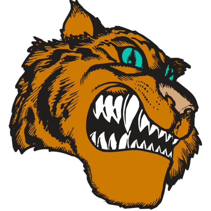 BAW TIGER 11 RC Thumbnail