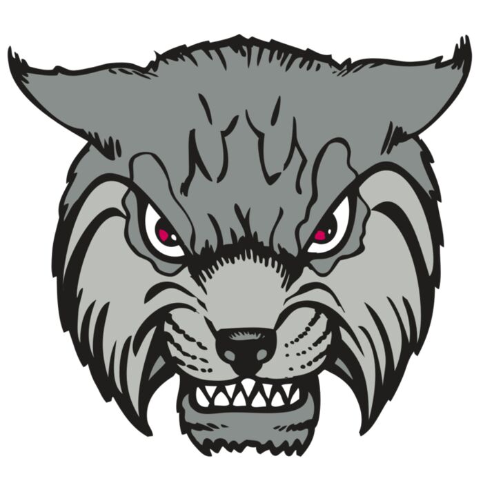 BAW BOBCAT 02 RC Thumbnail