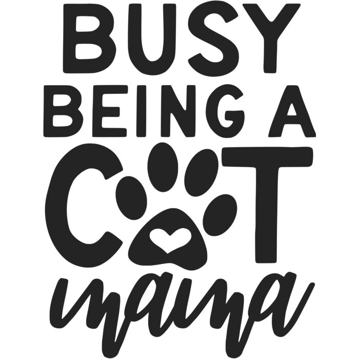busy being a cat mama Thumbnail