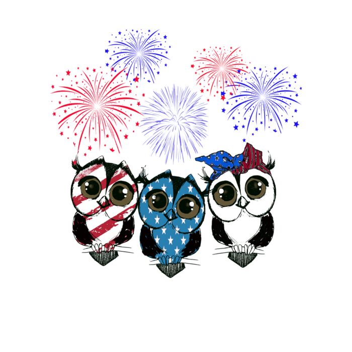 American Owls Crew Neck T Shirt Thumbnail