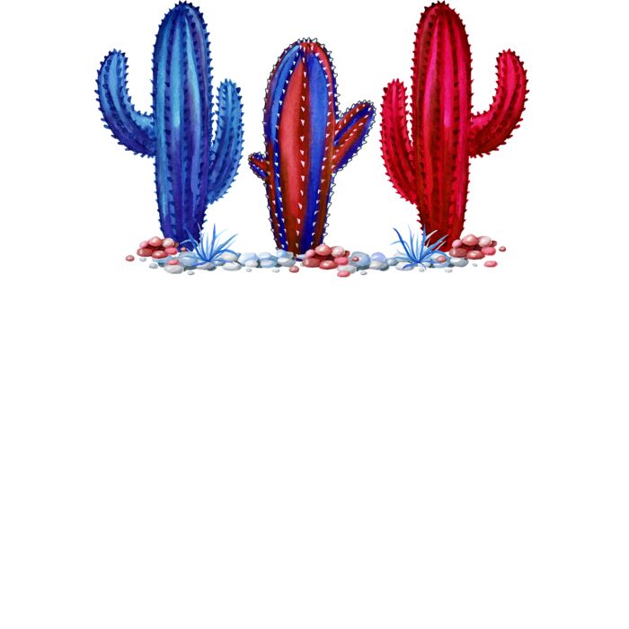 Patriotic Cactus V Neck T Shirt Thumbnail