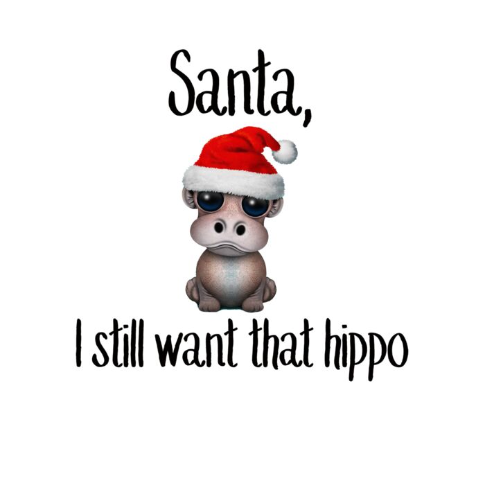 Santa Hippo Youth T Shirt Thumbnail