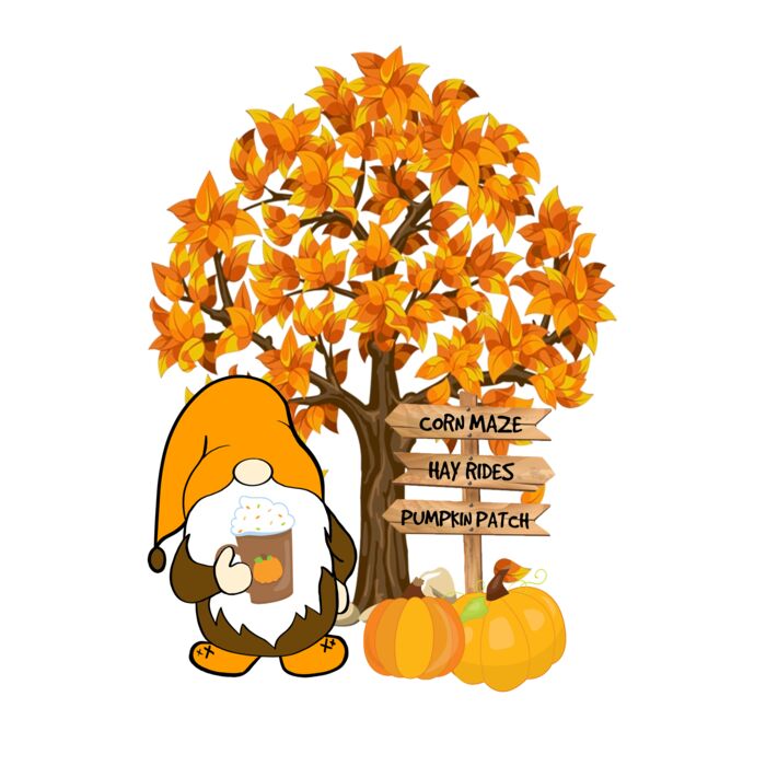 Pumpkin Gnome T Shirt Thumbnail