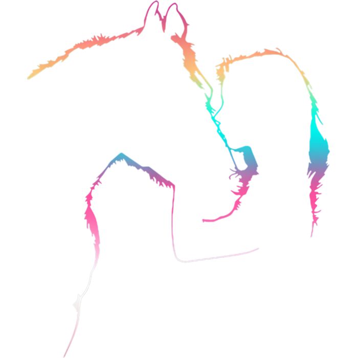 Girl Kissing Her Horse Lover Top Equestrian Country Girls T Shirt Thumbnail