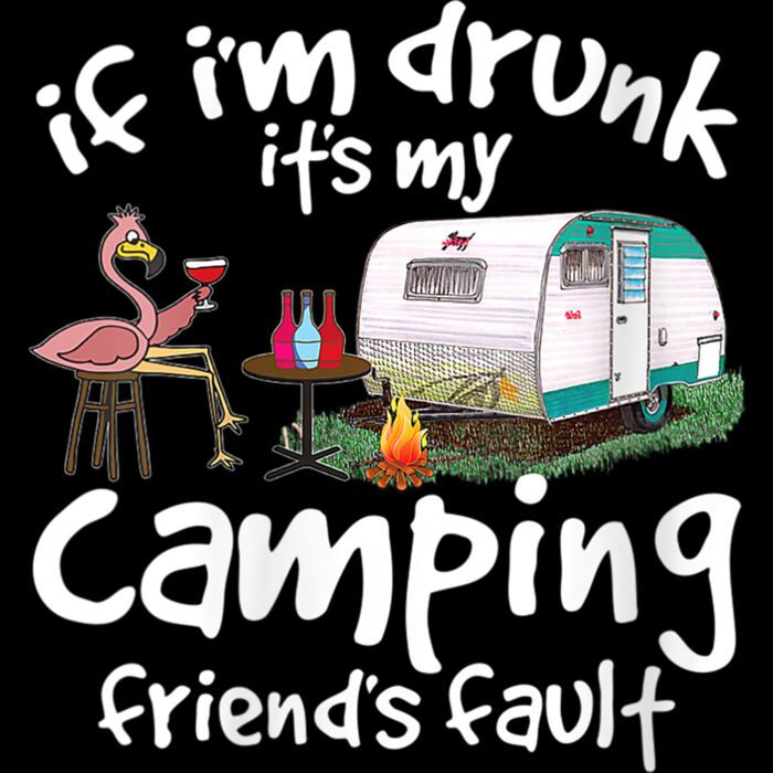 Womens If Im Drunk Its My Camping Friends Fault Funny Flamingo V Neck T Shirt Thumbnail