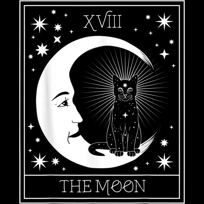 Tarot Card Crescent Moon and Black Cat Cosmic Graphic T Shirt Thumbnail