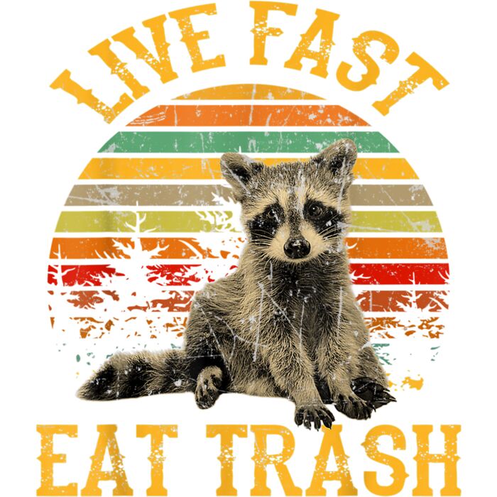 Live fast eat Trash Funny Raccoon Camping Vintage T Shirt Thumbnail