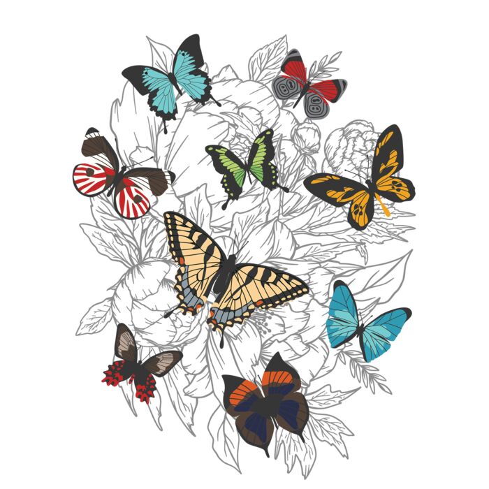 Loving Butterflies Thumbnail