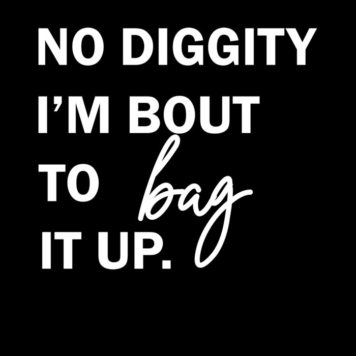 NO DIGGITY  BAG Thumbnail
