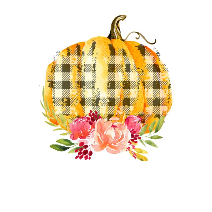 ORANGE BUFFALO PUMPKIN Thumbnail