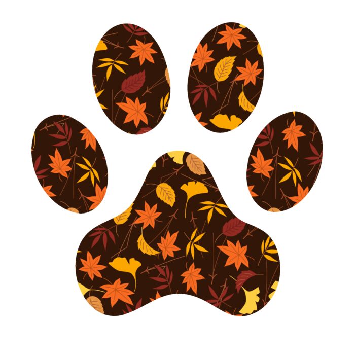FALL PAW Thumbnail