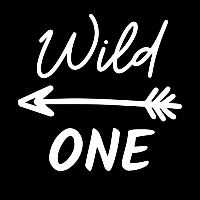 WILDONE6777 Thumbnail