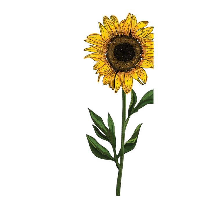 SUNFLOWER FLAG  TALL SUNFLOWER Thumbnail