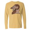 16x20 PRINT AREA Comfort Colors Long Sleeve T-Shirt Thumbnail